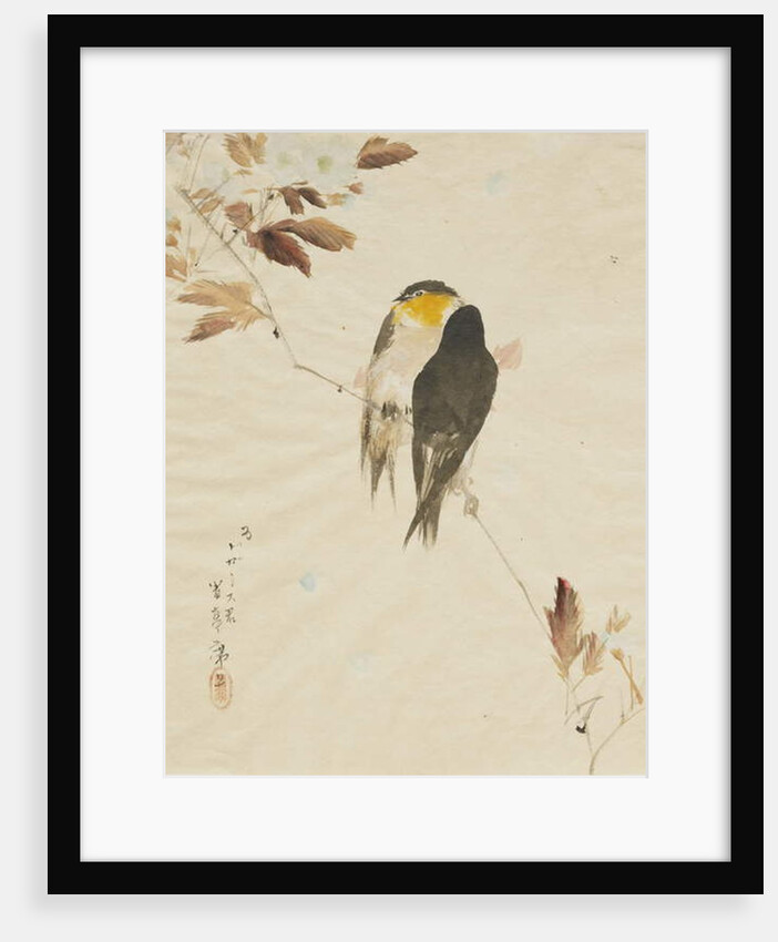 Birds on a Branchm, 1871-1917 by Watanabe Seitei