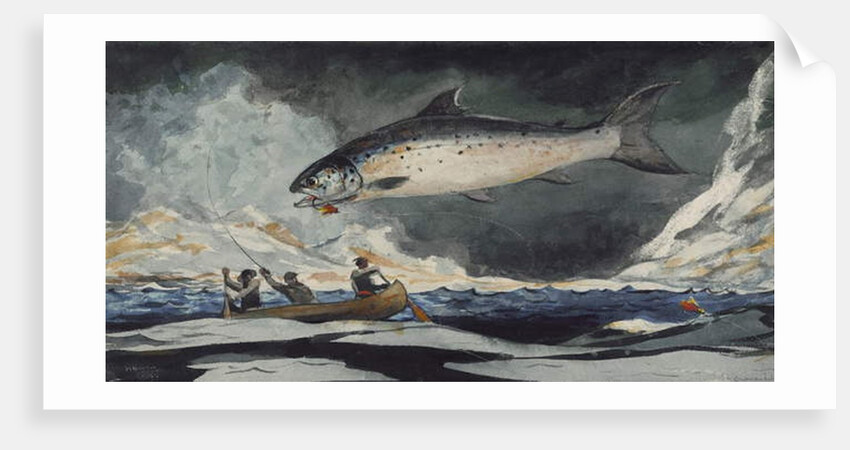 A Good Pool, Saguenay River, 1895 by Winslow Homer