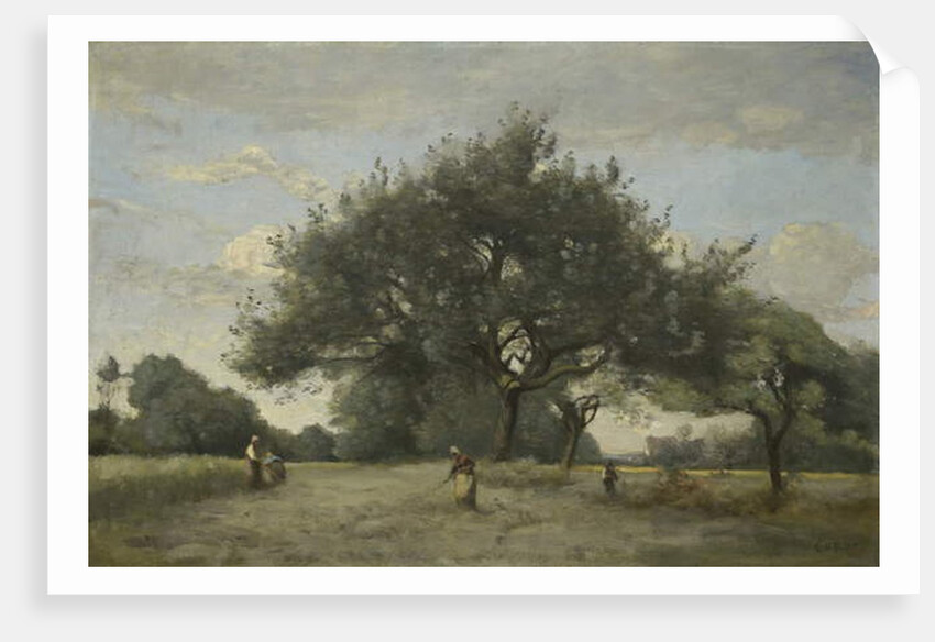 Apple Trees in a Field, c.1865-70 by Jean Baptiste Camille Corot