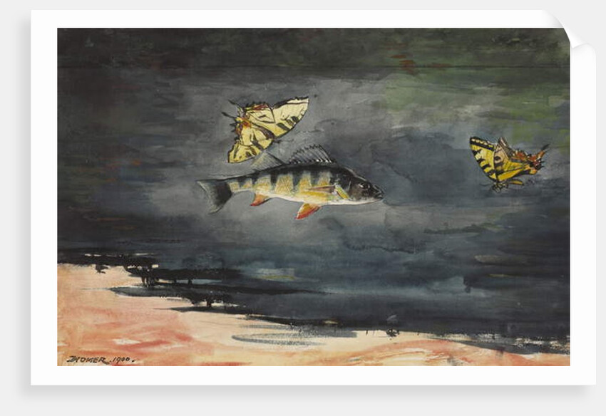 Fish and Butterflies, 1900 by Winslow Homer