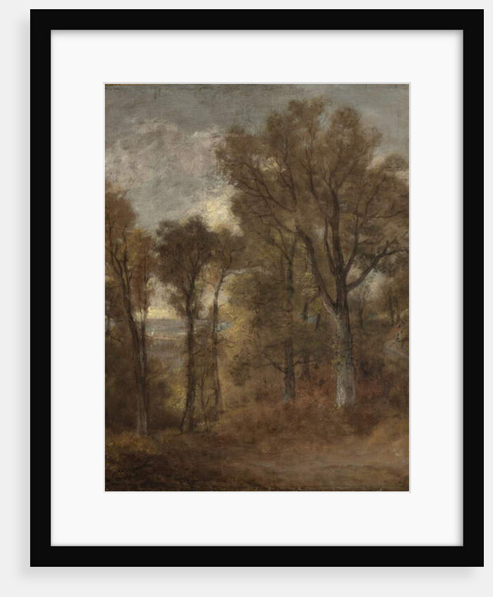 Woodland scene overlooking Dedham Vale, c.1802-03 by John Constable