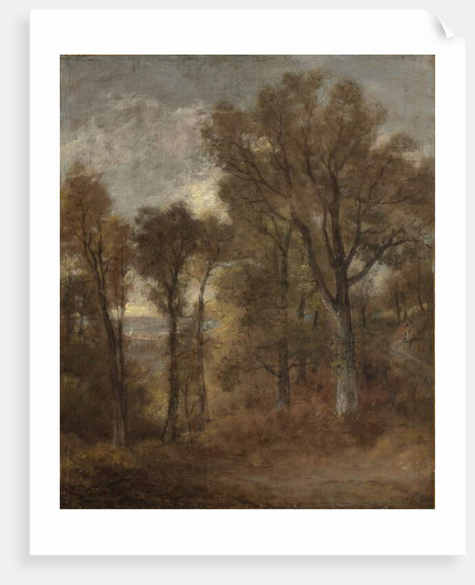 Woodland scene overlooking Dedham Vale, c.1802-03 by John Constable