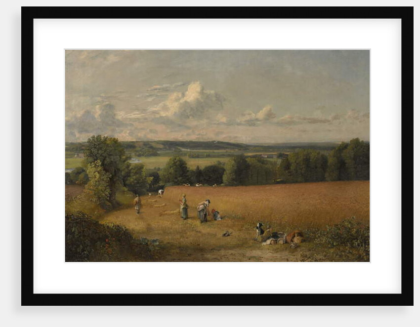 The Wheat Field, 1816 by John Constable