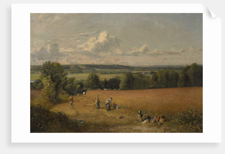 The Wheat Field, 1816 by John Constable