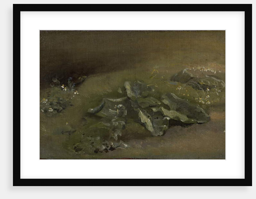 Study of a Burdock, c.1810-14 or c.1828 by John Constable