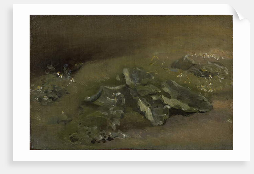 Study of a Burdock, c.1810-14 or c.1828 by John Constable