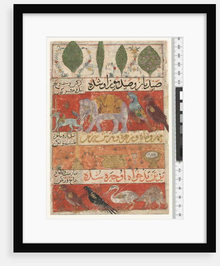 Animals, Birds and Plants, Ilkhanid Period, 1341 by Persian School