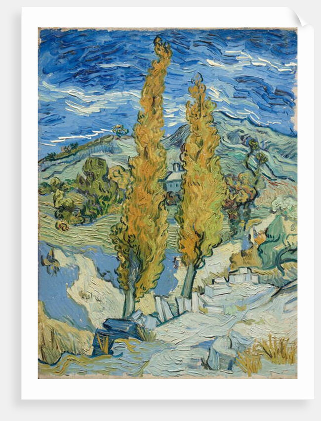 The Poplars at Saint-Rémy, 1889 by Vincent van Gogh