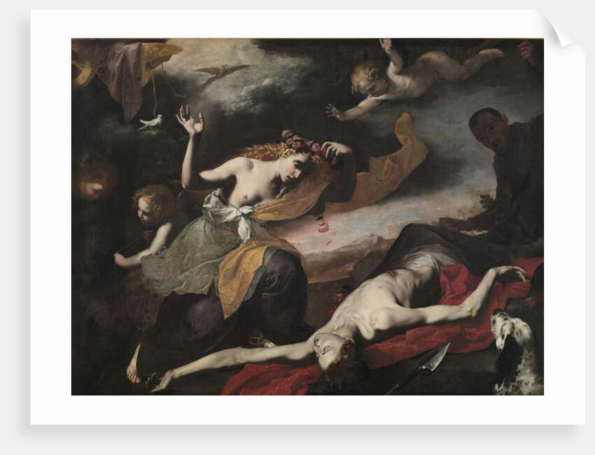 Venus Discovering the Dead Adonis, c.1650 by Italian School