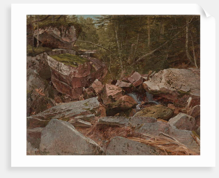 Study, North Conway, New Hampshire, 1851 by David Johnson