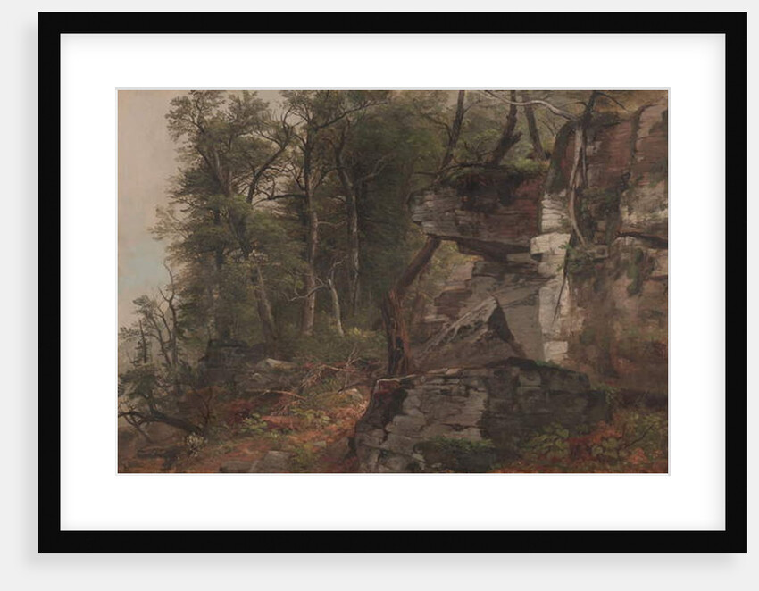 Trees on a Rocky Hillside, c.1849 by Asher Brown Durand