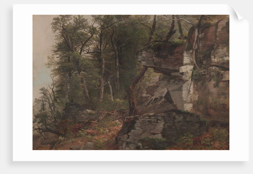 Trees on a Rocky Hillside, c.1849 by Asher Brown Durand