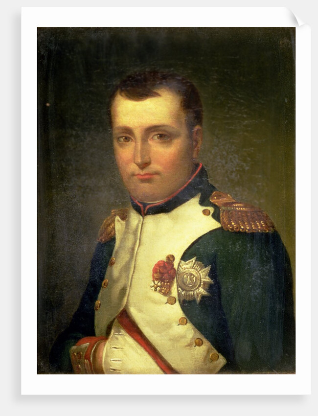 Napoleon Bonaparte by Jacques Louis David