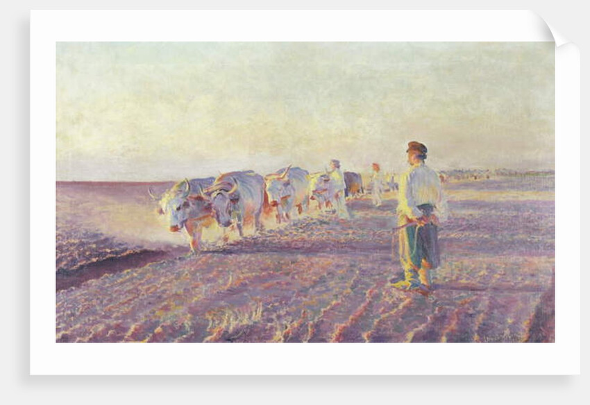 Ploughing in the Ukraine, 1892 by Leon Wyczolkowski