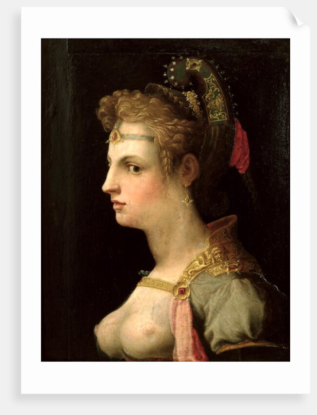 Venus Victrix by Michele di Ridolfo Tosini