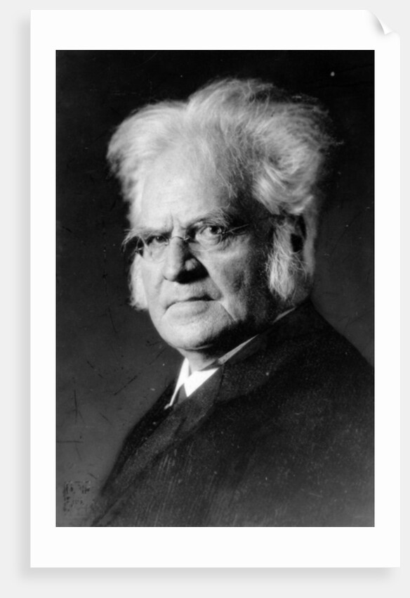 Portrait of Norwegian writer Bjoernstjerne Bjoernson by German Photographer