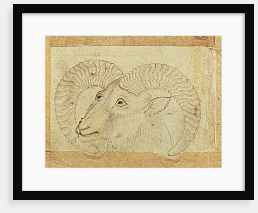Detail of a ram from 'Transporting Ceramics by School Chinese