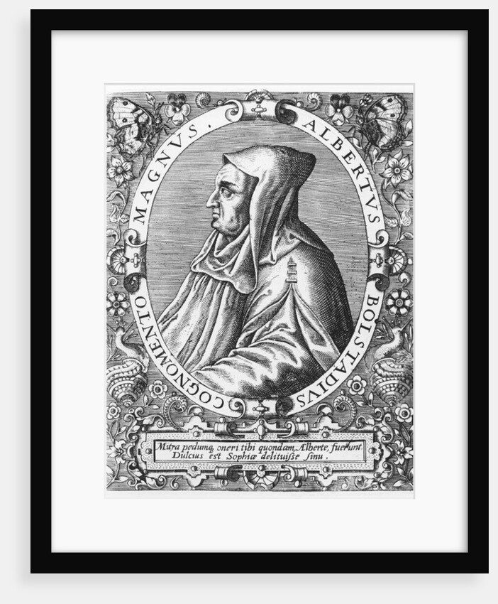 Albertus Magnus by Theodor de Bry