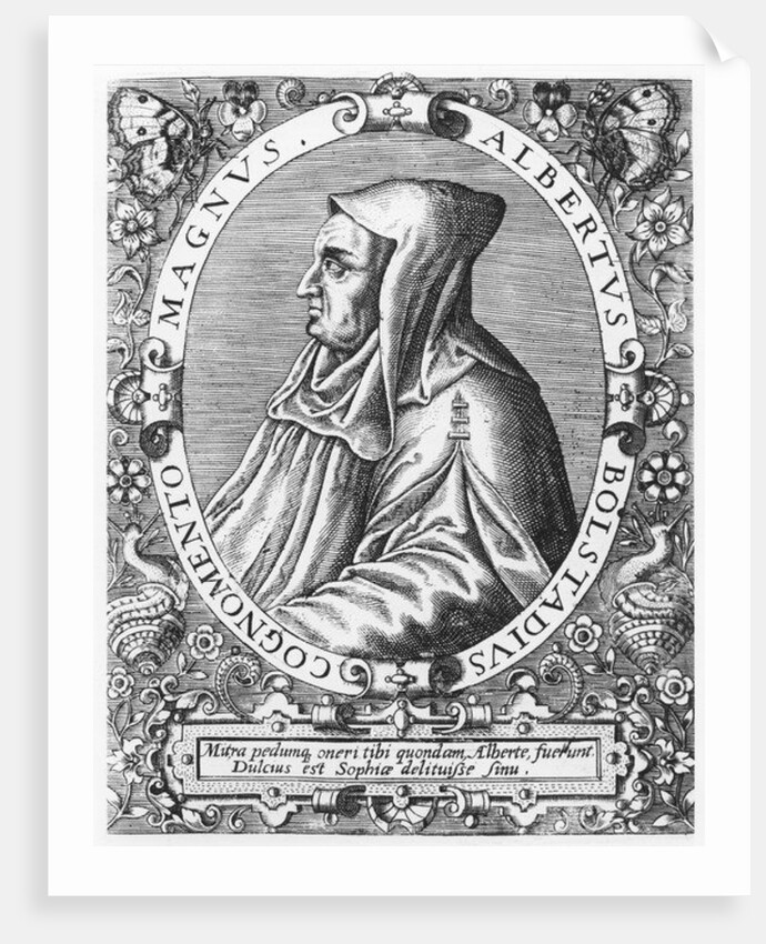 Albertus Magnus by Theodor de Bry