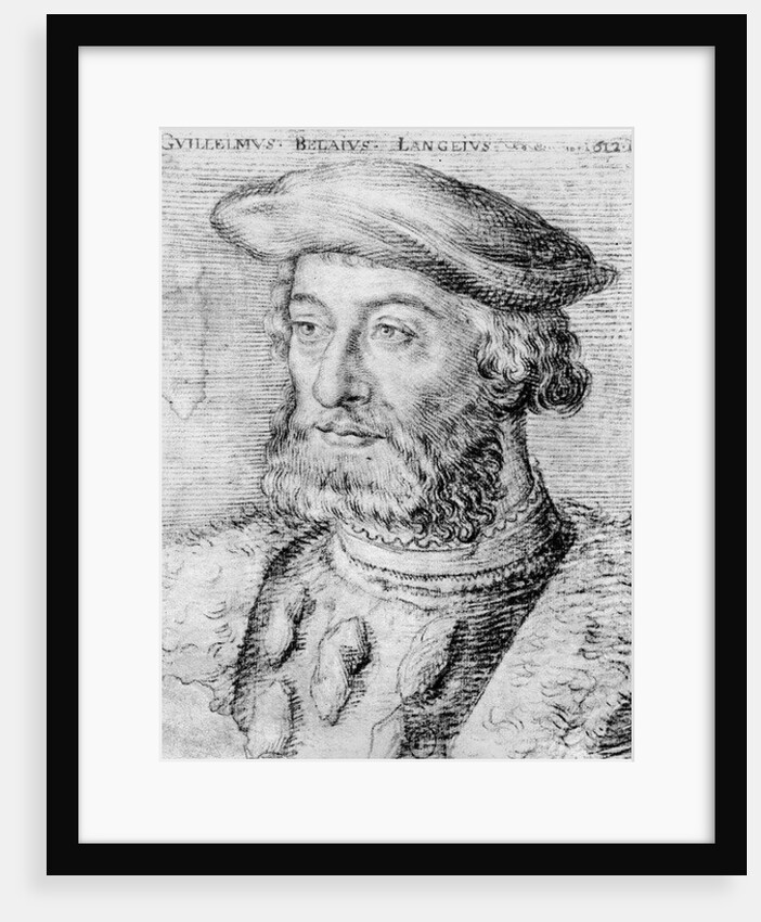 Guillaume du Bellay by French School