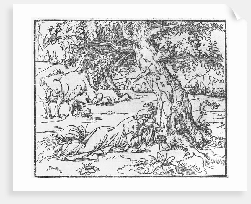 Page from 'Discours du Songe de Poliphile', by Francesco Colonna, 1546 by French School