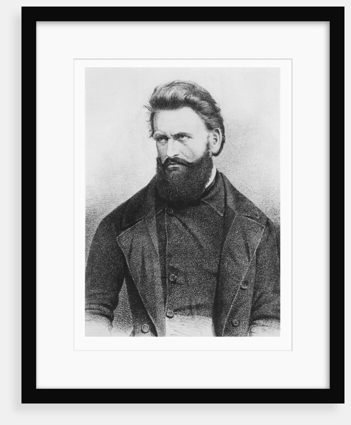 Julius Fröbel by German School