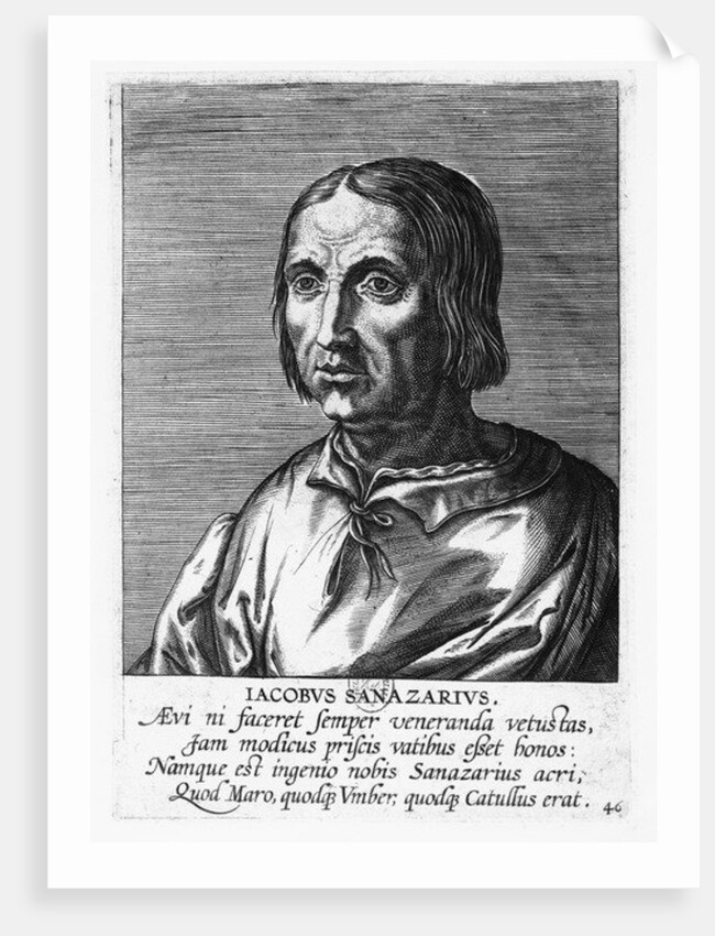 Jacopo Sannazaro by French School