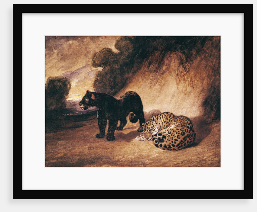 Two Jaguars from Peru by Antoine Louis Barye
