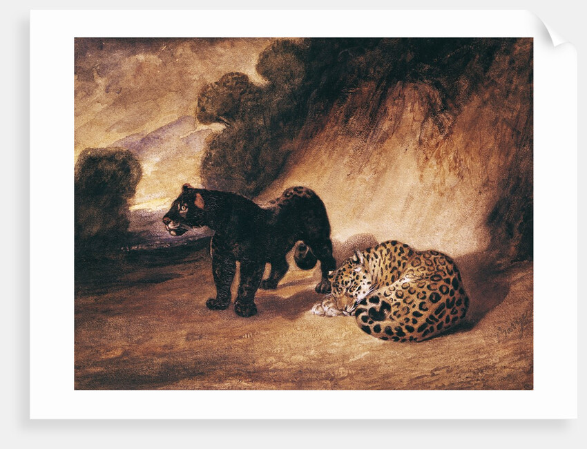 Two Jaguars from Peru by Antoine Louis Barye