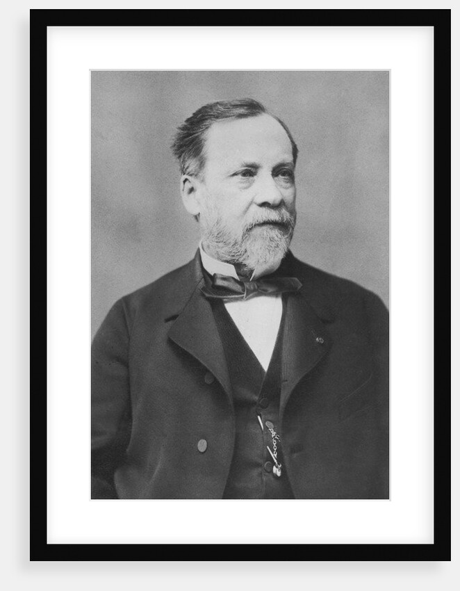 Portrait of Louis Pasteur by Pierre Petit