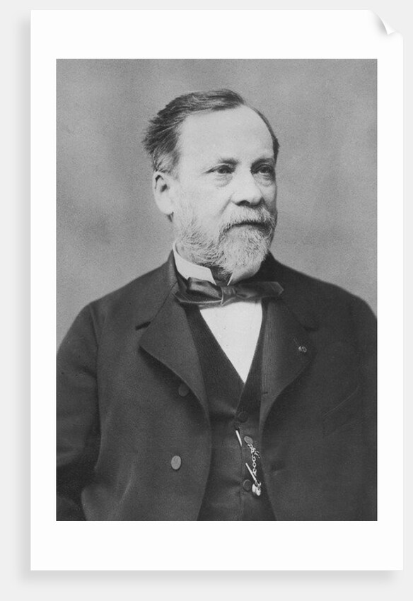 Portrait of Louis Pasteur by Pierre Petit