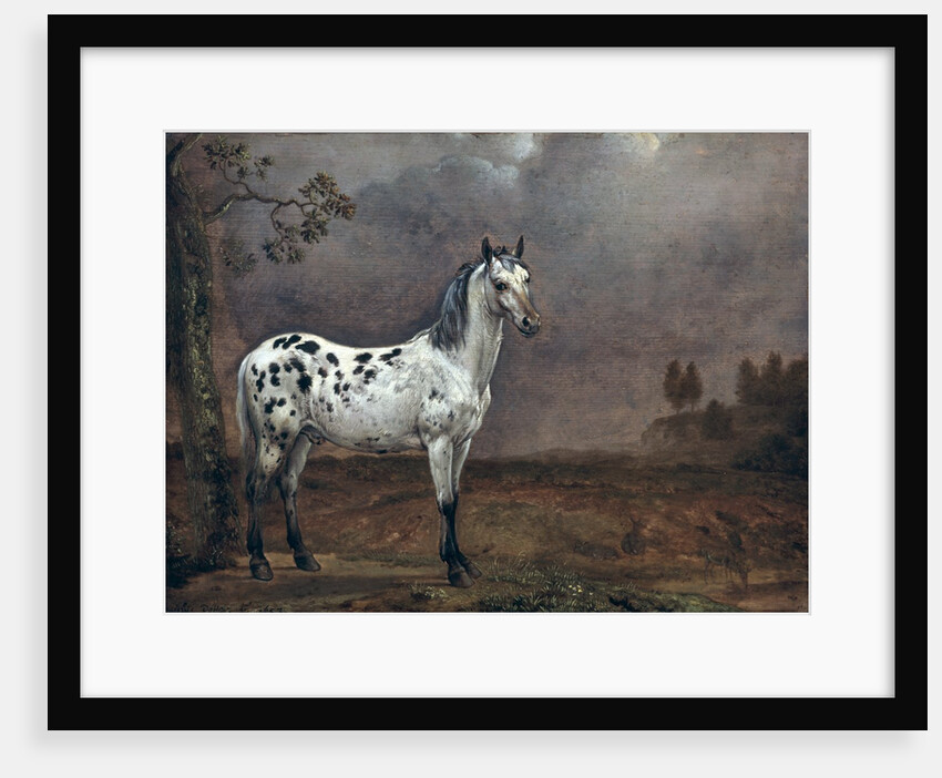 The Piebald Horse, 1653 by Paulus Potter