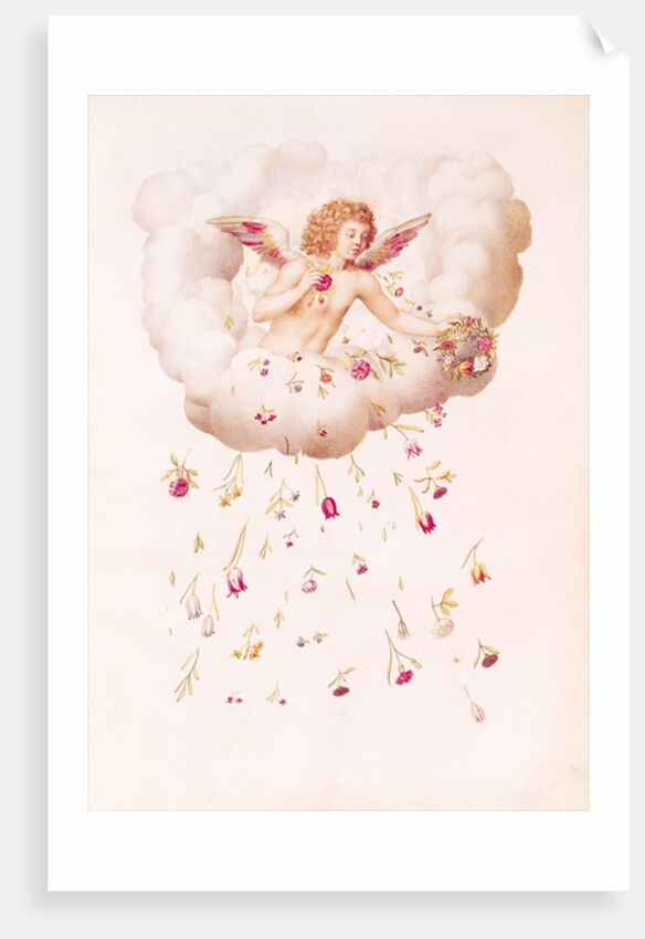 Zephyr from 'La Guirlande de Julie', c.1642 by Nicolas Robert