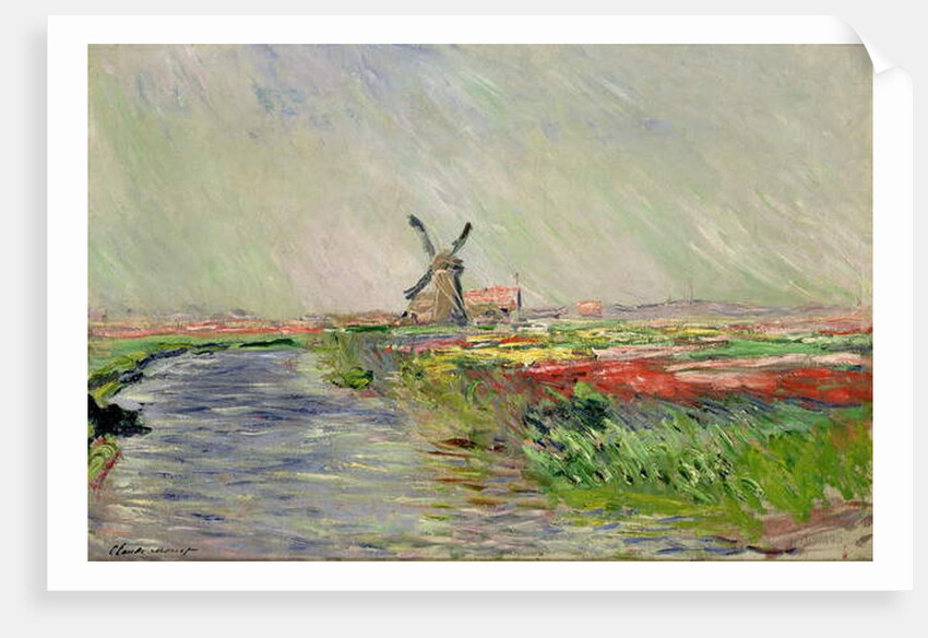 Tulip Field in Holland by Claude Monet