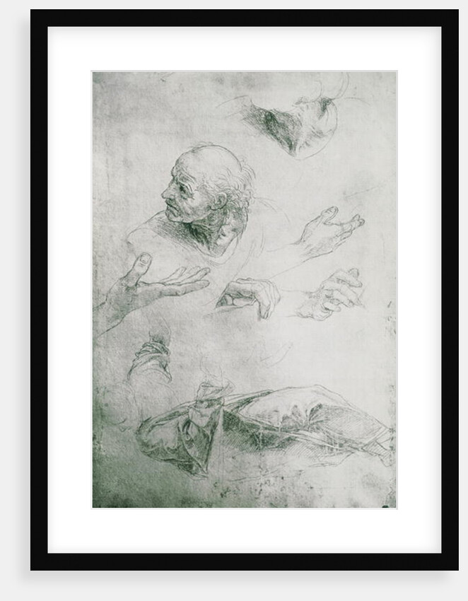 Studies for the Figure of Bramante by Raphael