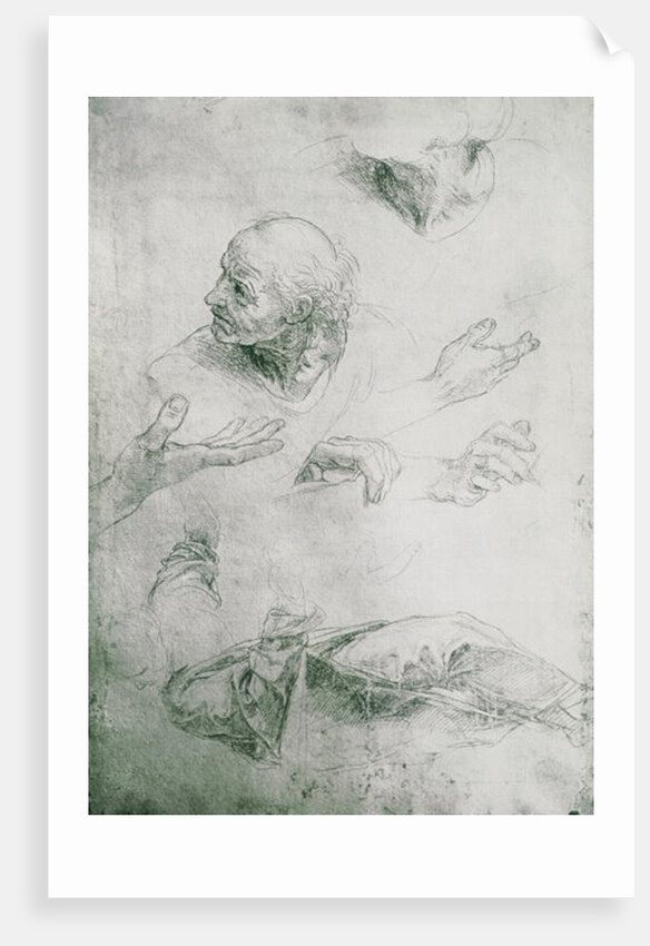 Studies for the Figure of Bramante by Raphael