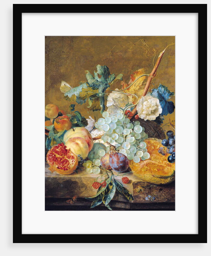 Flowers and Fruit, 18th century by Jan van Huysum