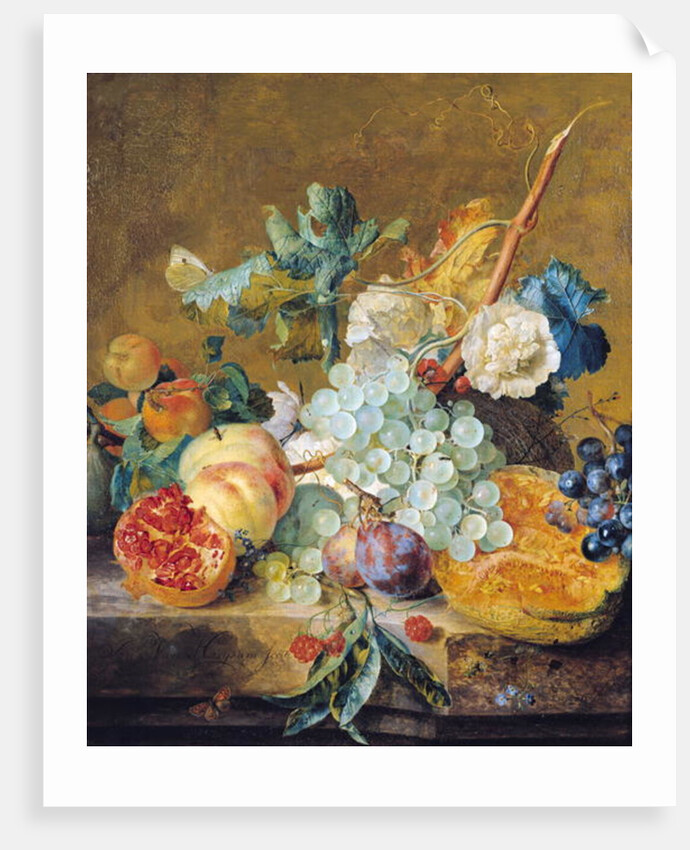Flowers and Fruit, 18th century by Jan van Huysum