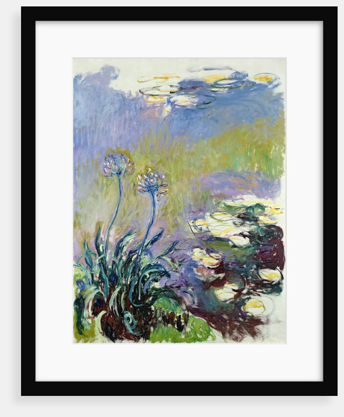 The Agapanthus, 1914-17 by Claude Monet