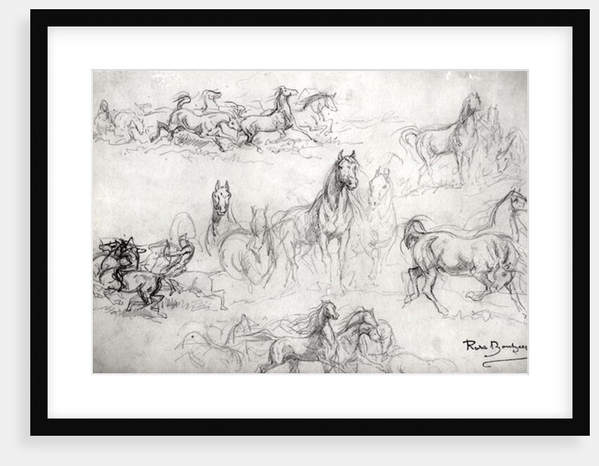 Study of Horses by Rosa Bonheur