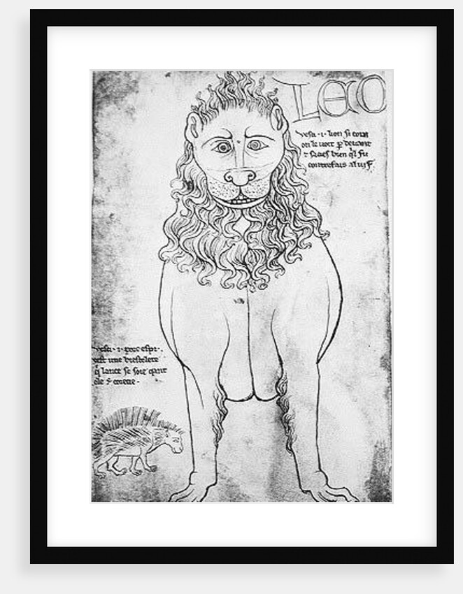 Ms Fr 19093 fol.24v Lion and Porcupine by Villard de Honnecourt