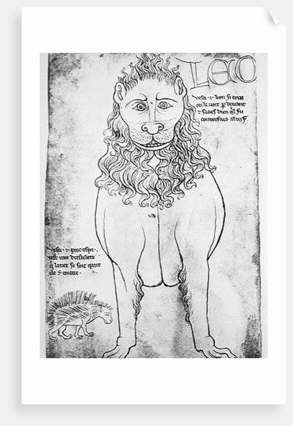 Ms Fr 19093 fol.24v Lion and Porcupine by Villard de Honnecourt