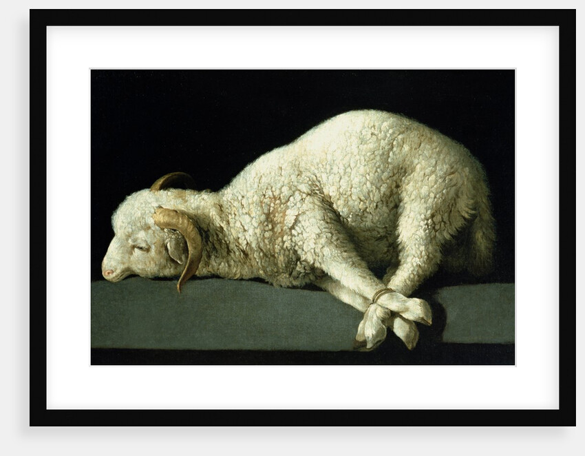 Agnus Dei, c.1635-40 by Francisco de Zurbaran