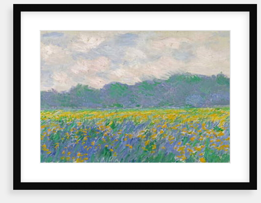 Field of Yellow Irises at Giverny, 1887 by Claude Monet