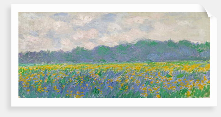 Field of Yellow Irises at Giverny, 1887 by Claude Monet
