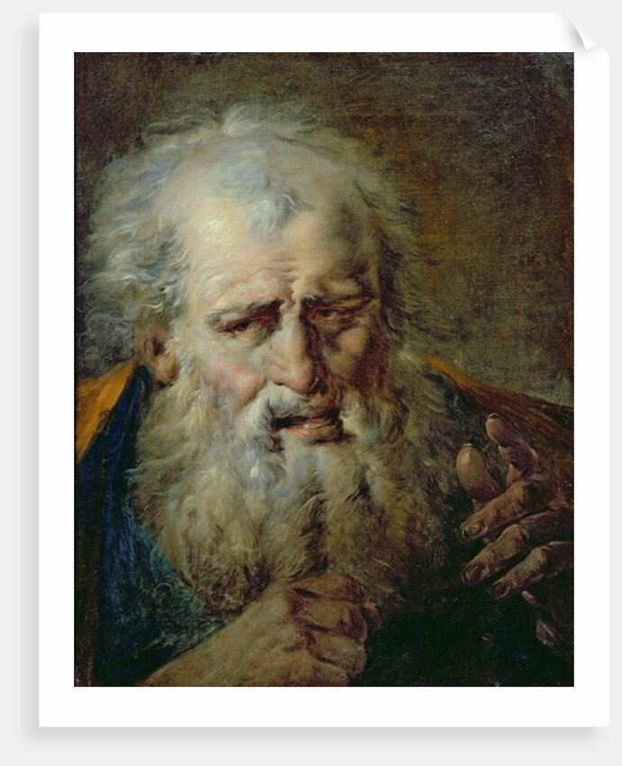 Head of an Old Man by French School