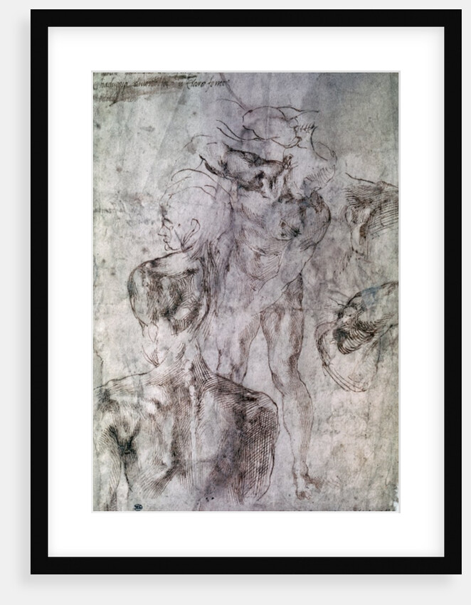 Various studies, verso of Study for David by Michelangelo Buonarroti