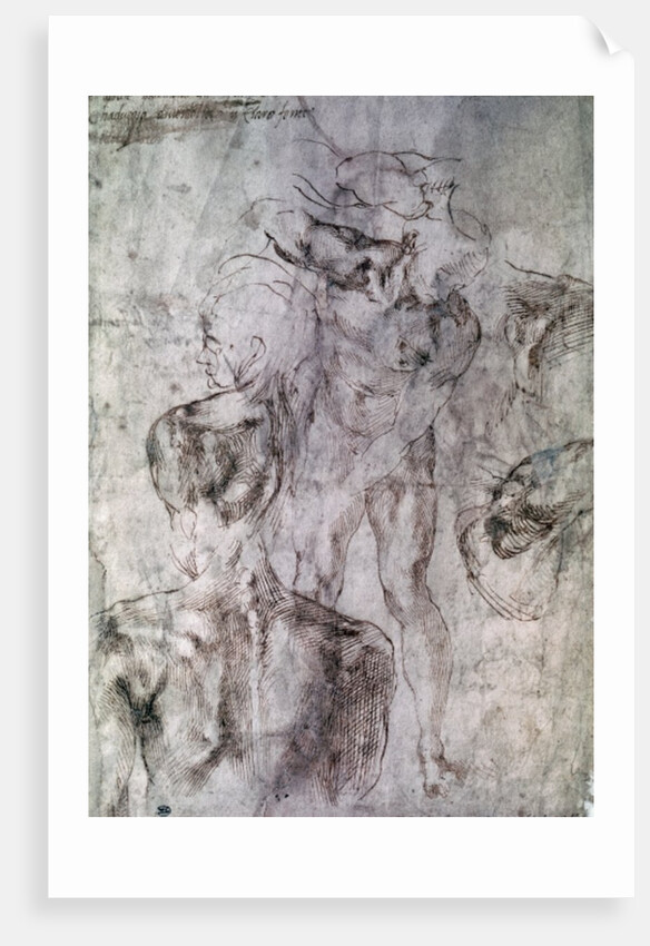 Various studies, verso of Study for David by Michelangelo Buonarroti