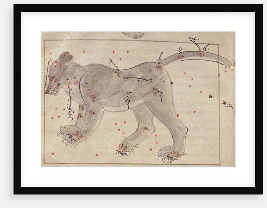 The Great Bear by Persian School
