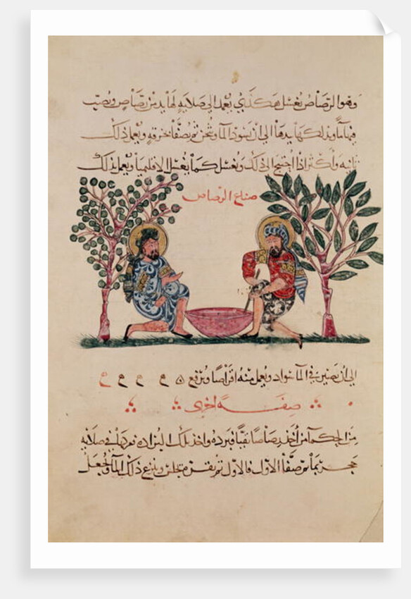 Making Lead, page from an Arabic edition of the treaty of Dioscorides, 'De Materia Medica', 1222 by Islamic School